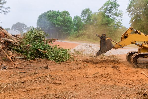 Ground Clearing in Sioux Falls