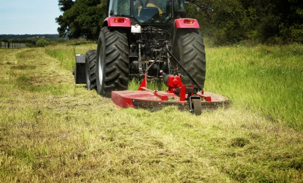 Brush Clearing Service in Sioux Falls