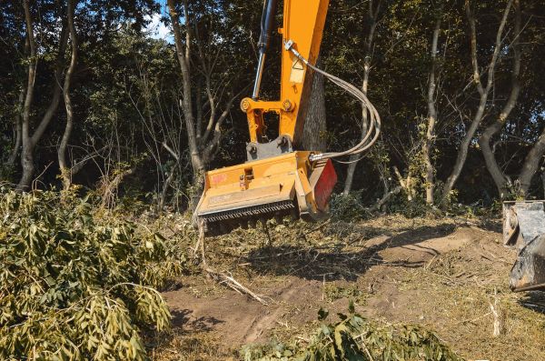 Brush Removal Service in Sioux Falls