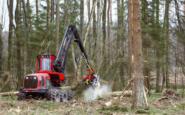 Forest Clearance Service in Sioux Falls