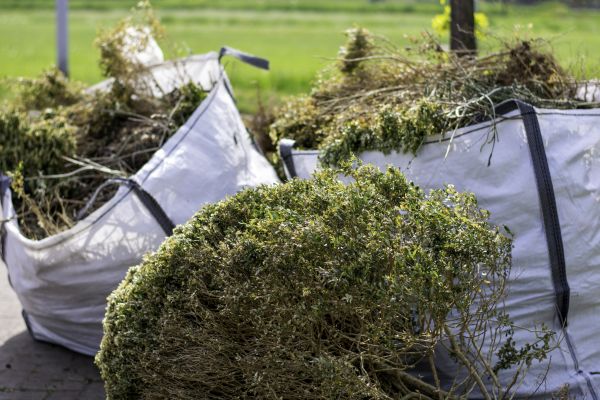 Bushes Clearing in Sioux Falls