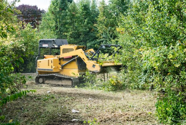 Pathway Clearing in Sioux Falls